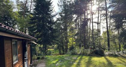 Hidden in the forest - cozy vacation home for quiet days in nature