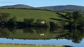 A calm lake with a grassy hill and trees in the background. - Cosy 2 bedroom  holiday apartment in a beautiful quiet area beside a lake. (Bantry)