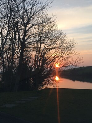 Un coucher de soleil sur une étendue d’eau, avec des arbres se découpant en silhouette sur le ciel.