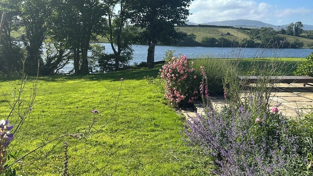 A grassy area with a large tree, a flower bed with pink flowers, and a view of a lake and hills. - Cosy 2 bedroom  holiday apartment in a beautiful quiet area beside a lake. (Bantry)