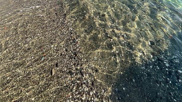 A clear beach with pebbles, a person in the water, and a mountain in the background.