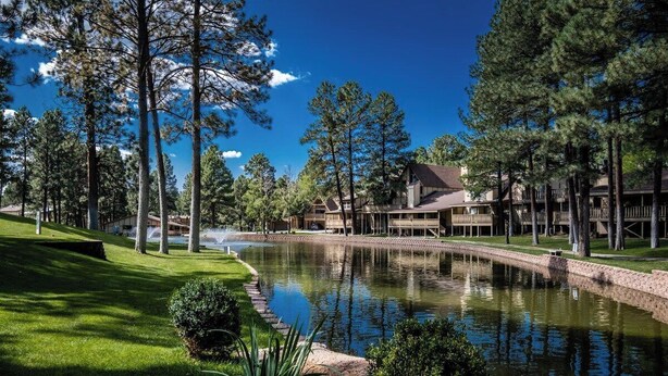 Un complexe hôtelier doté d’un étang, entouré de grands arbres et surplombé d’un ciel bleu azur.