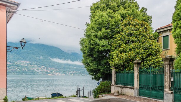 A street view with a large tree, a green gate, and a body of water in the background. - Casa Daisy with direct beach access, AC and Wifi (Dervio)