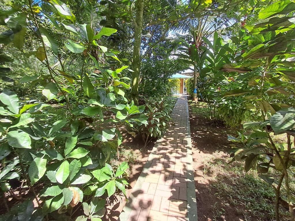 Apartment, Garden View | Property grounds