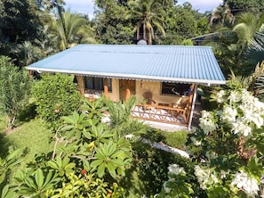 A house with a blue roof, surrounded by lush greenery and palm trees.
