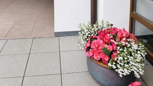 Fachada de edificio con pared blanca, una ventana con el número '0', una maceta con flores rosas y blancas y una tubería negra.