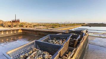Outdoor crates filled with oysters on a dock.