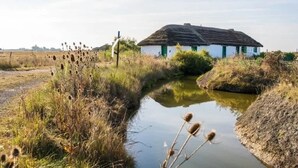 A rural house with a thatched roof, surrounded by a small water body and overgrown vegetation. - 2/ Pavillon neuf proche plage (Saint-Jean-de-Monts)