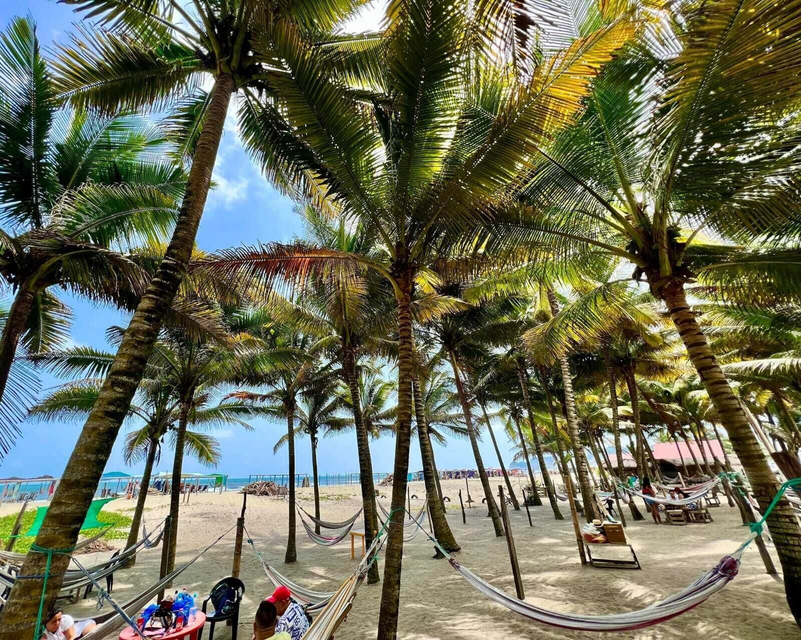 Di pantai, pasir putih 
