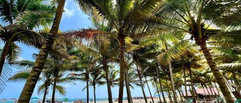 On the beach, white sand