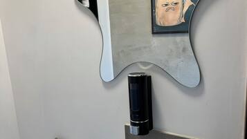 Regadera, secadora de cabello, jabón, papel de baño