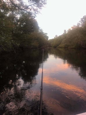 A calm river with a fishing rod in the foreground, surrounded by dense foliage.