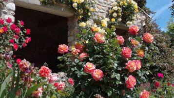 Detalle exterior