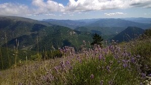 Un paisaje montañoso con flores moradas en primer plano y montañas lejanas bajo un cielo parcialmente nublado.