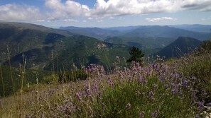 A mountainous landscape with purple flowers in the foreground and distant mountains under a partly cloudy sky. - Apartment 'La Roseraie Des Côtes' with Private Pool, Private Garden and Wi-Fi (Vinsobres)
