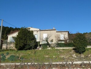 Uma casa de dois andares com base de pedra, telhado de telhas e vinhedo cercado em primeiro plano.