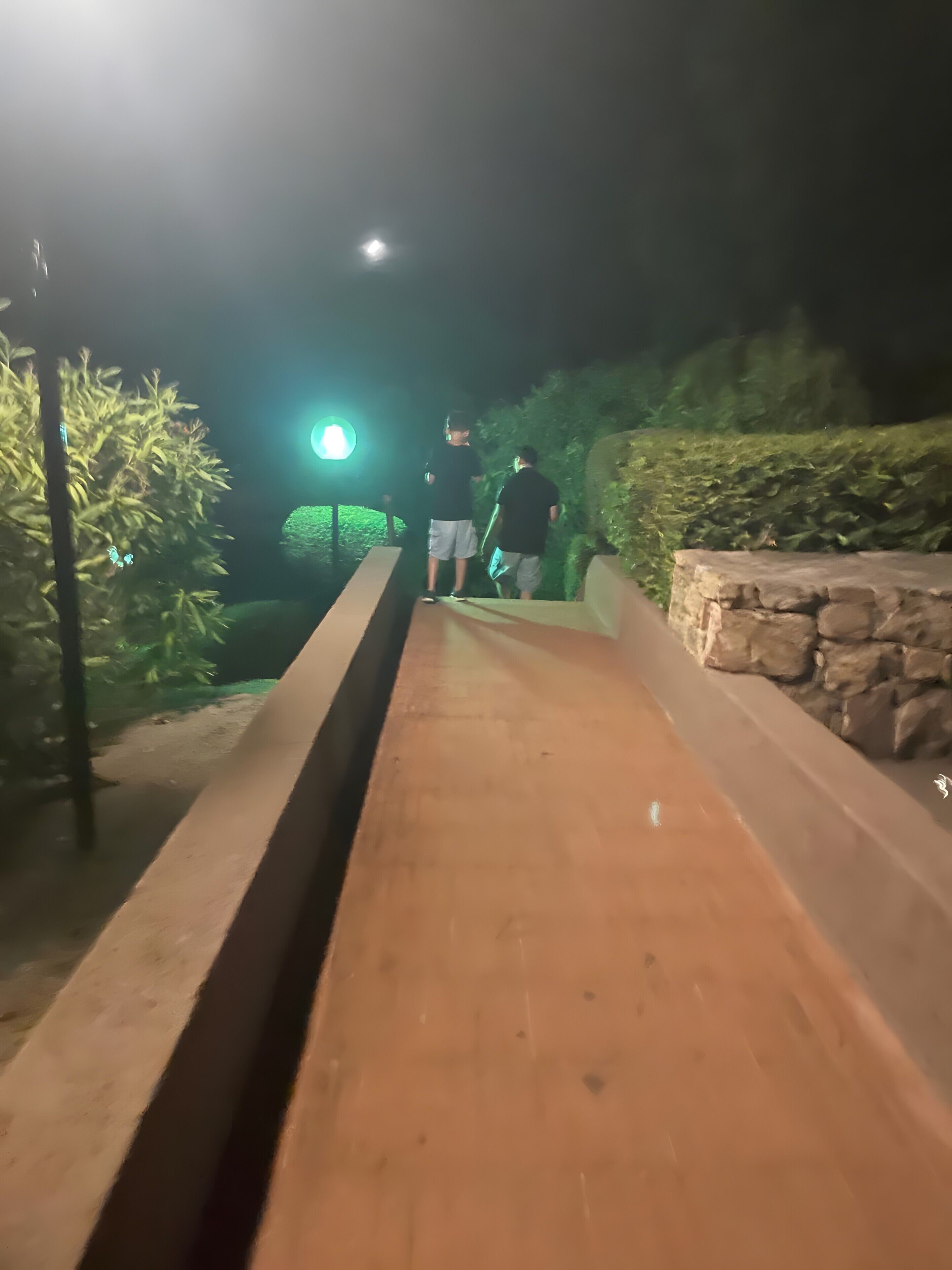 Un sendero con barandilla metálica, una pared de piedra y follaje a ambos lados.