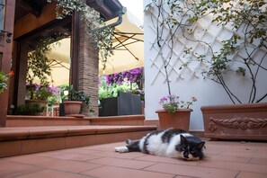 A cat lying on a tiled patio with steps leading to a covered entrance, surrounded by potted plants and a lattice wall. - Holiday Home 'Villino Rosaria Sea View' with Sea View, Wi-Fi and Air Conditioning (Dragonea)