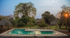 A rectangular swimming pool with a stone border, surrounded by trees and a thatched-roof structure.