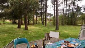 Un espace de restauration en plein air, avec une table dressée pour un repas, entouré d’arbres.
