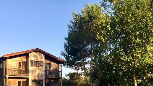Une maison moderne dotée d’une piscine, d’une terrasse en bois et d’un grand arbre dans le jardin.