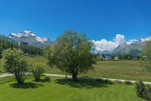 Eine gebirgige Landschaft mit blauem Himmel, einem grasbewachsen Feld und vereinzelten Bäumen.