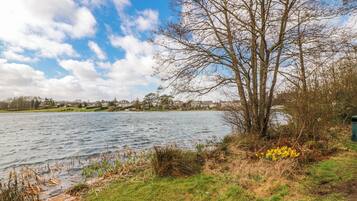 A lake with a tree and grass in the foreground, a clear sky, and houses in the background.