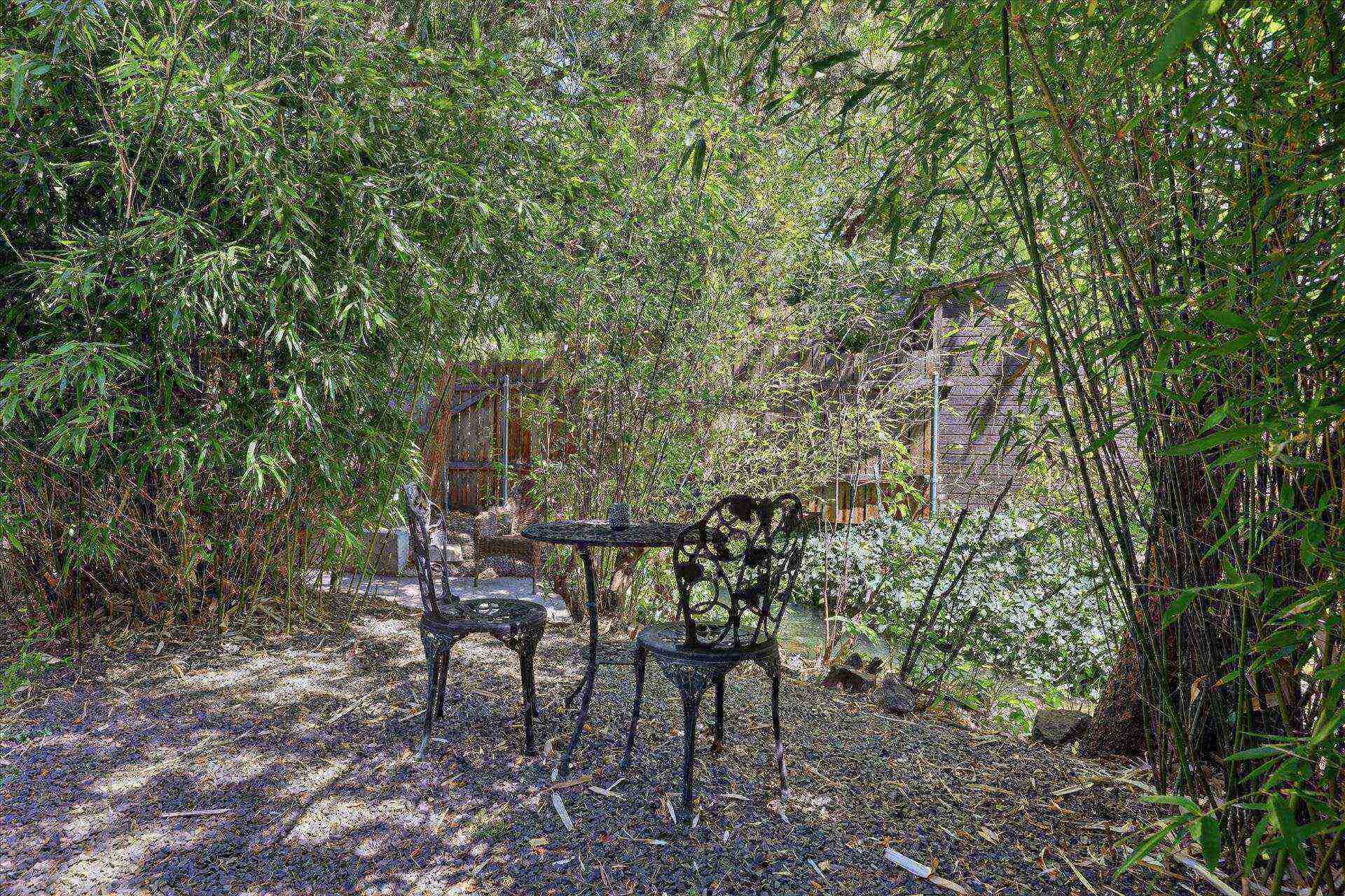 Un décor extérieur rustique avec une table et des chaises en métal, entouré d’une végétation luxuriante et, au fond, une structure en bois.