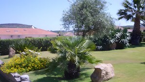 A landscaped garden with palm trees, yellow flowers, and a stone wall. - Visit Lu Bagnu – Affordable Holiday Apartment Near Castelsardo (Lu Bagnu)
