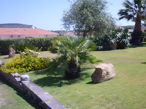 A landscaped garden with palm trees, yellow flowers, and a stone wall. - Visit Lu Bagnu – Affordable Holiday Apartment Near Castelsardo (Lu Bagnu)