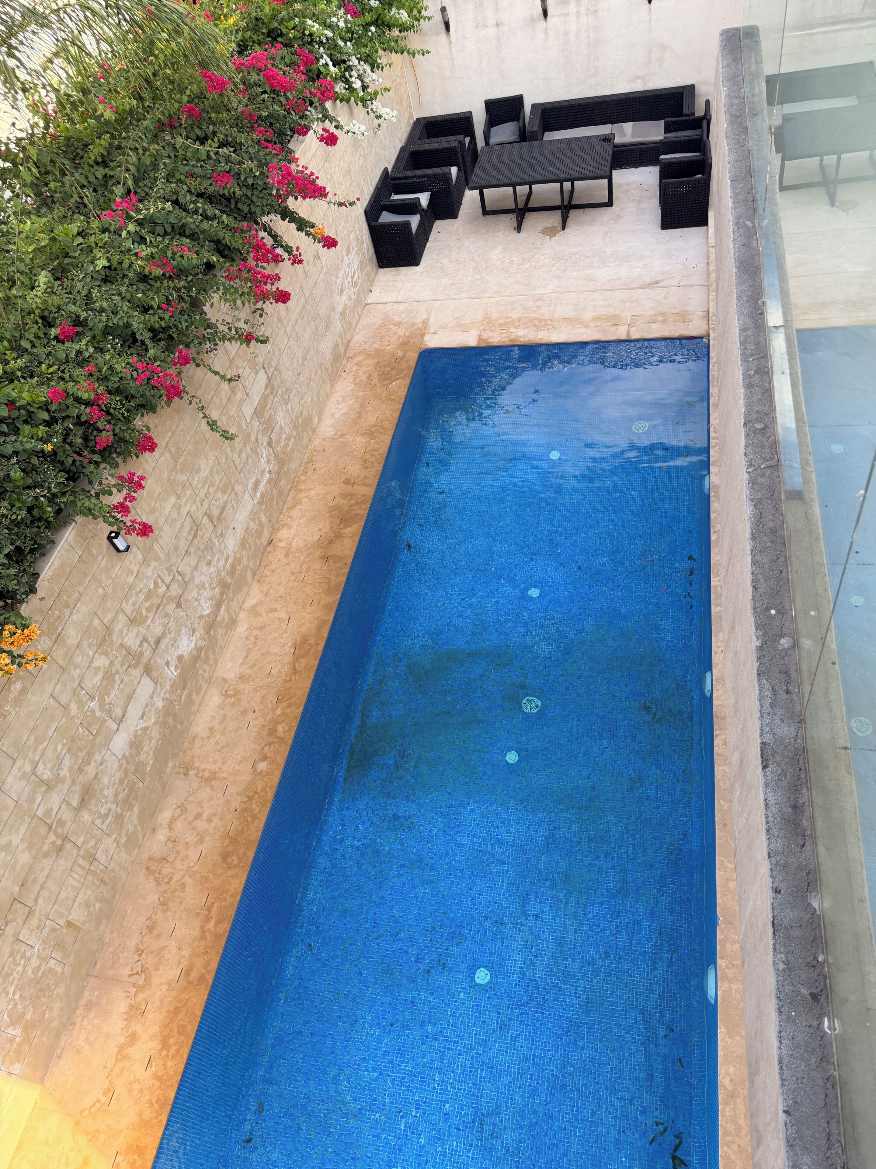 Outdoor pool, pool umbrellas, pool loungers