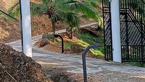 Un vialetto conduce a un'area recintata, con palme e un edificio bianco sullo sfondo.