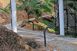 A pathway leading to a gated area with palm trees and a white building in the background.