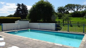 Ein rechteckiger Schwimmteich mit klarem, blauem Wasser, umgeben von einer gepflasterten Terrasse.