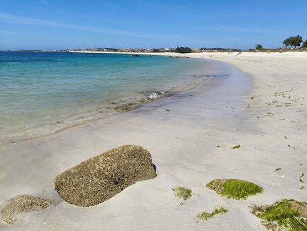 A beach with clear water, a large rock, and sparse vegetation.