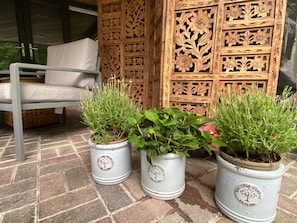 Trois plantes en pot sur une terrasse, avec un paravent décoratif en bois et une chaise blanche.