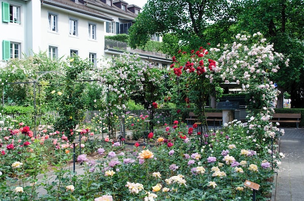 Un jardin avec différentes plantes à fleurs et un bâtiment en arrière-plan.