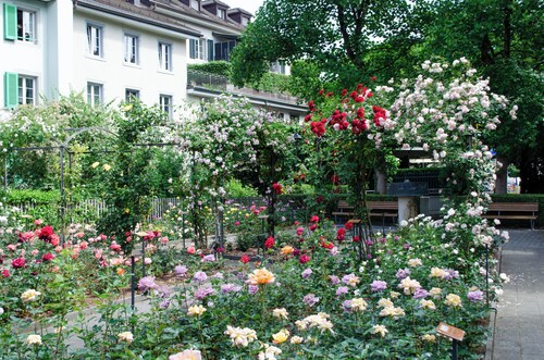 Central city apartment in Rapperswil | Castle