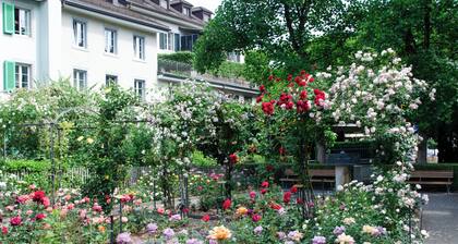 Central city apartment in Rapperswil | Castle