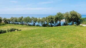 A grassy field with trees and a view of the sea.