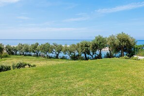 Un champ verdoyant, parsemé d’arbres, avec vue sur la mer.