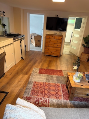 A compact living space with a kitchenette, a wooden dresser, a flat-screen TV, and a patterned rug. - Small 45-square-meter apartment in the vineyards—ideal for hiking and mountain biking (Bad Kreuznach)