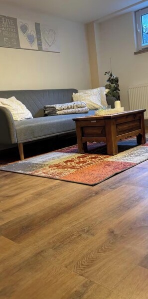 A living room with a grey sofa, a wooden coffee table, and a patterned rug. - Small 45-square-meter apartment in the vineyards—ideal for hiking and mountain biking (Bad Kreuznach)