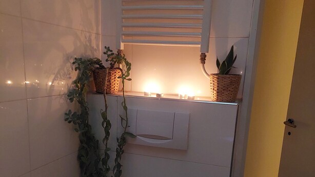 Een badkamer met toilet, douche, wastafel en een klein raam met een plant.