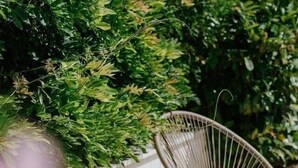 Wicker chairs and a table with a glass and fruit bowl on a patio. - Villa Oleander: Pool & Rooftop Cinema (Splitska)