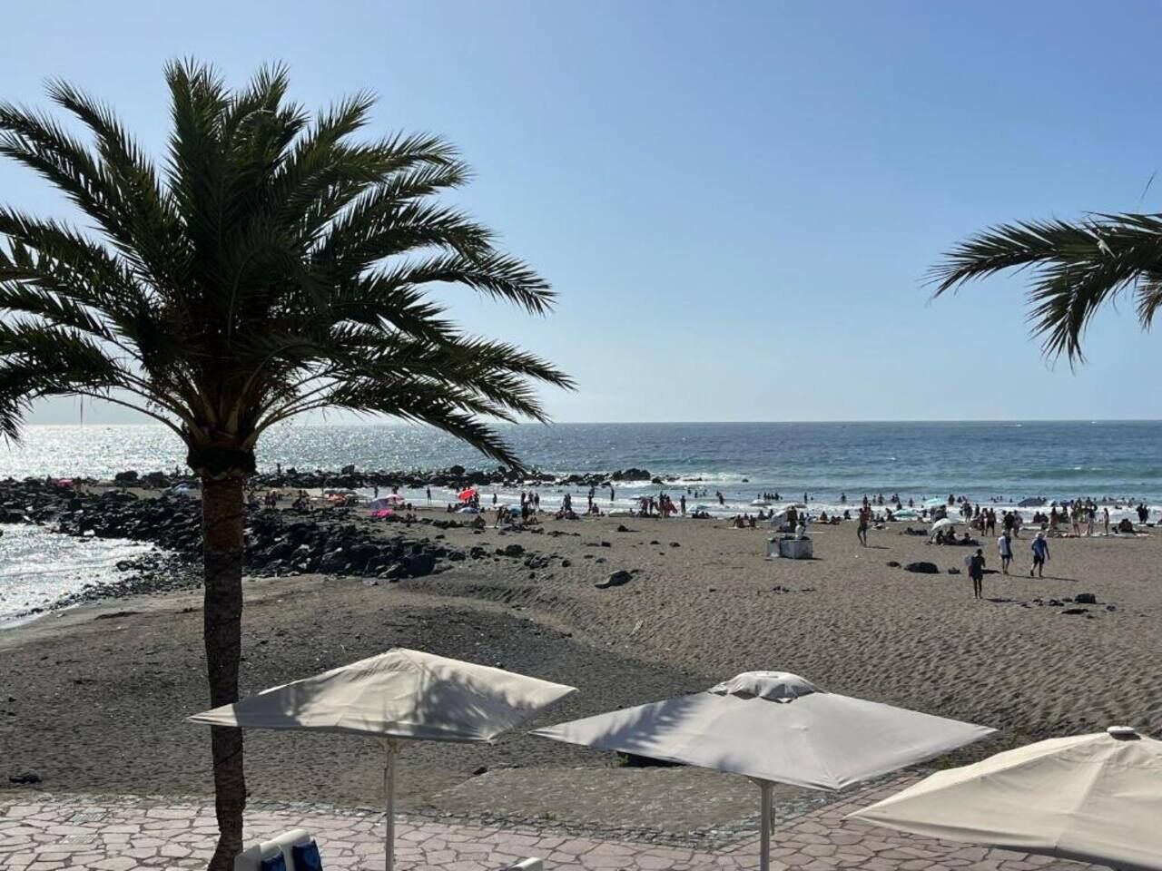 Ein Strand mit Palmen, Sonnenschirmen und Blick auf das Meer.