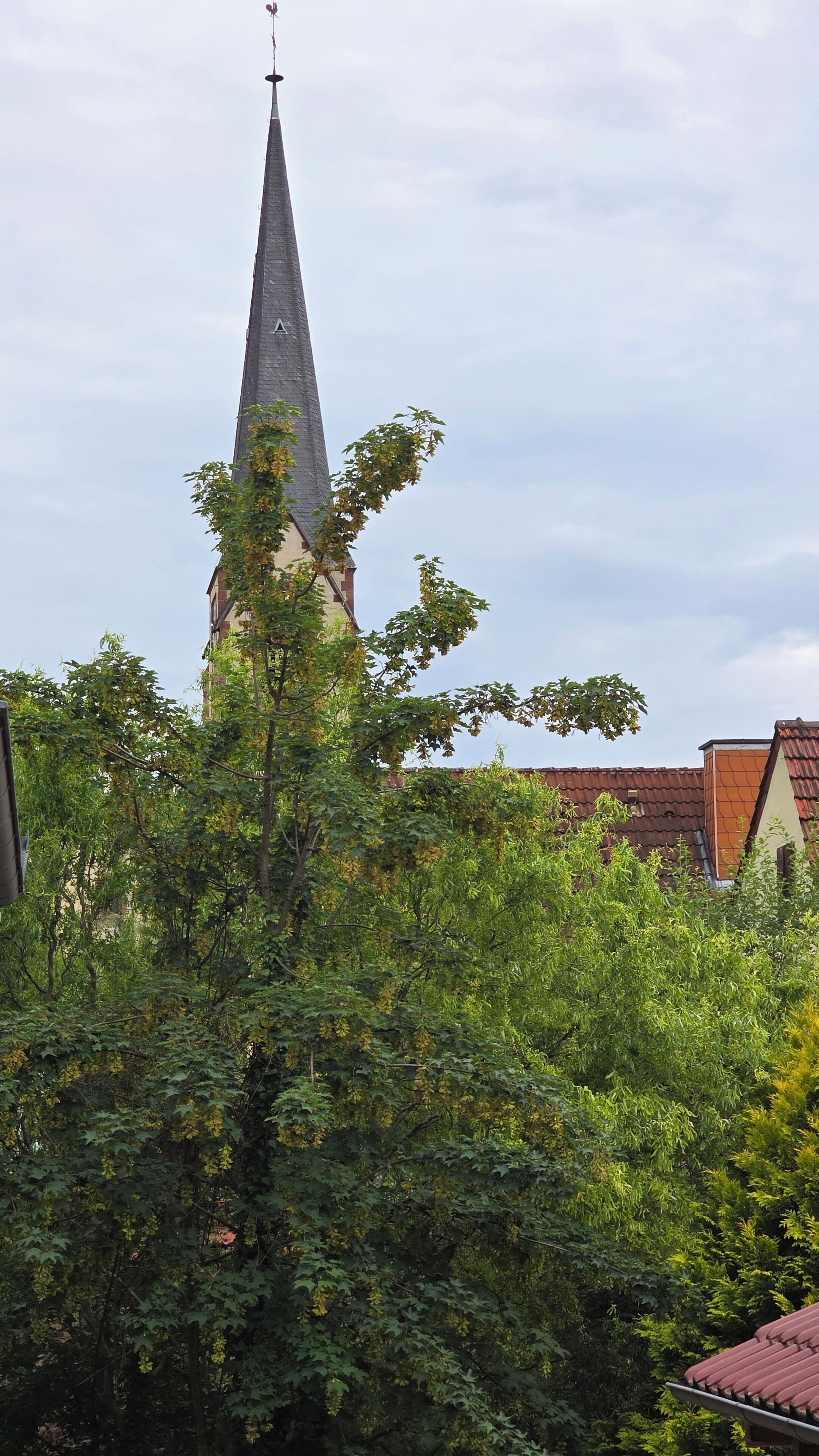 Eine Kirche mit einem hohen Kirchturm, umgeben von dichtem Grün.