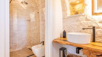 Shower, hair dryer, bidet, towels