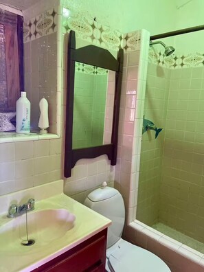 Un baño con lavamanos, inodoro y ducha.