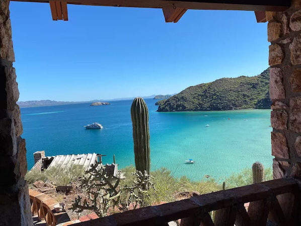 A coastal view with a clear sky, a cactus, and boats on the water.